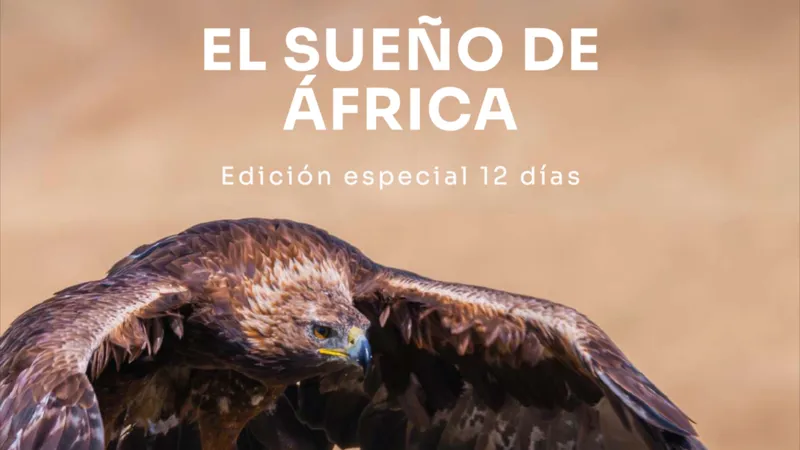 El Sueño de África - Edición Especial