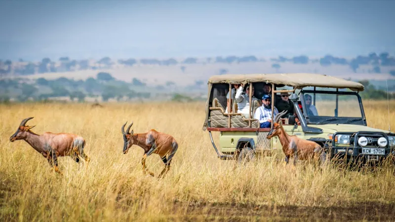 Kenya y Tanzania: Aventura Safari en el Serengeti
