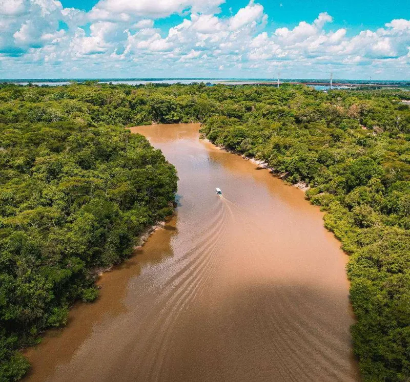 Amazonas: selva peruana