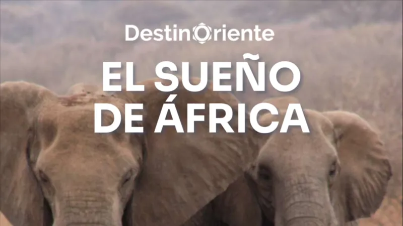 El Sueño de África - Edición Clásica