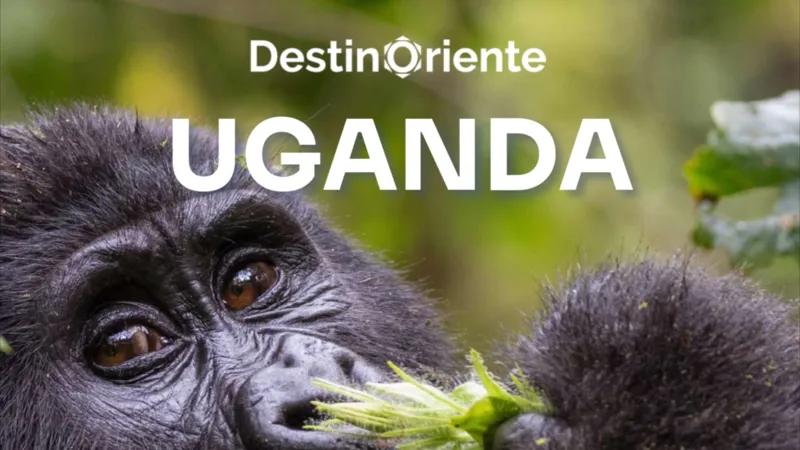 Uganda