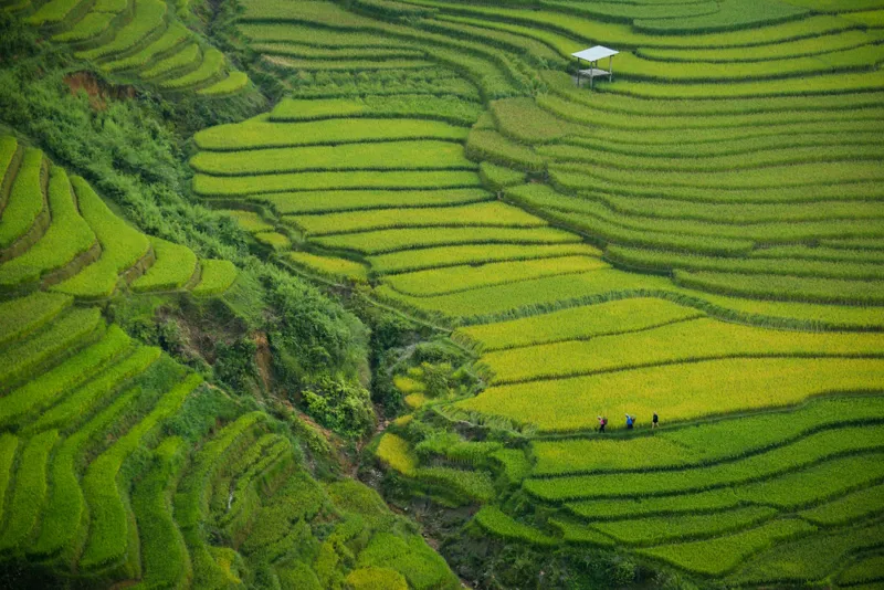 Vietnam y Camboya