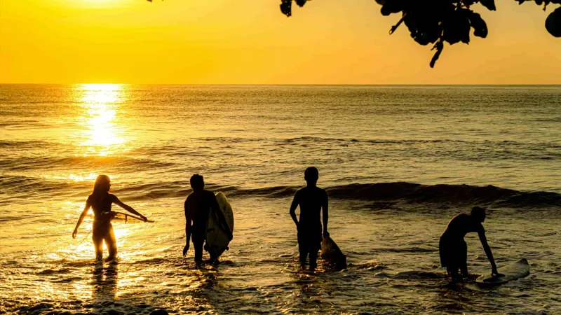 Safari de Olas del Pacífico