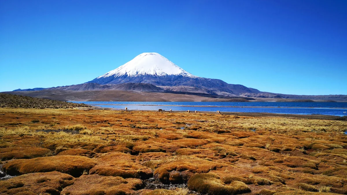 Parque Nacional Lauca