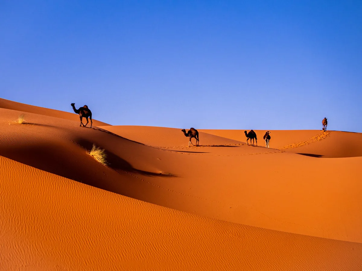 Sahara y valles del sur