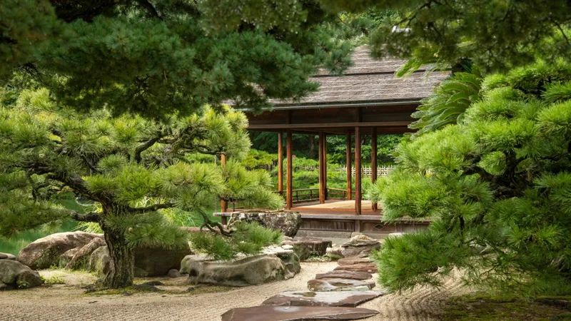 Kansai y Shikoku