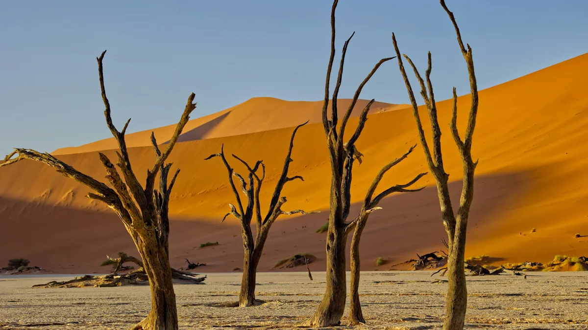 Sossusvlei y Namib
