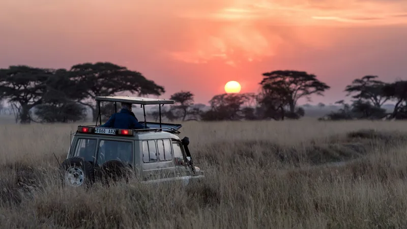 Serengeti