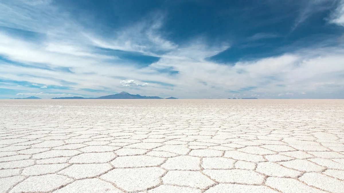 Altiplano Andino