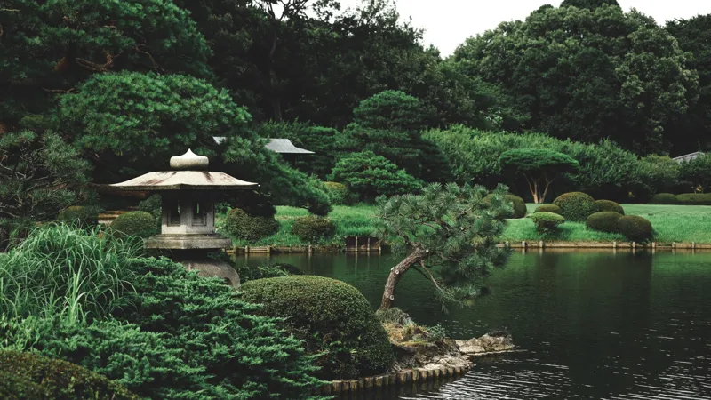 Japón